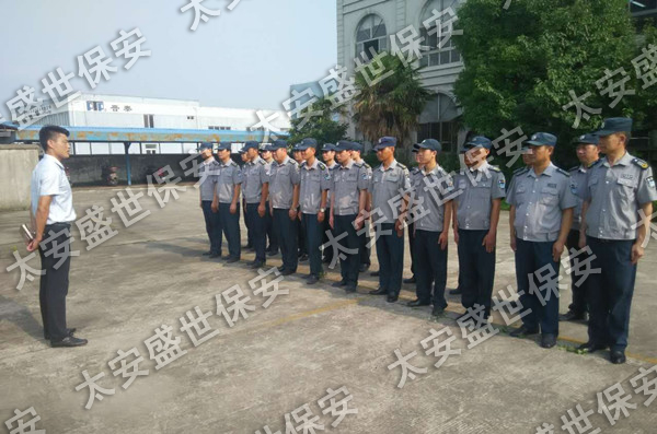 太安盛世保安