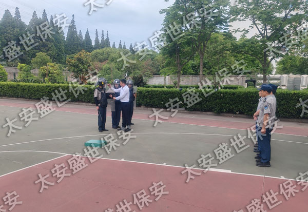 太安盛世保安